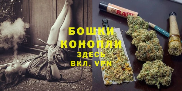 МДПВ Мегион