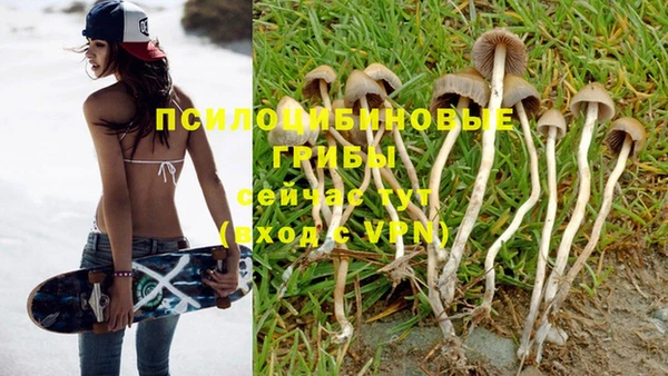 прущая мука Медвежьегорск