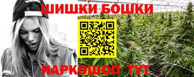 прущие крисы Будённовск