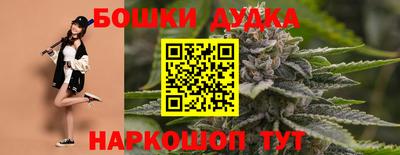 прущие крисы Будённовск
