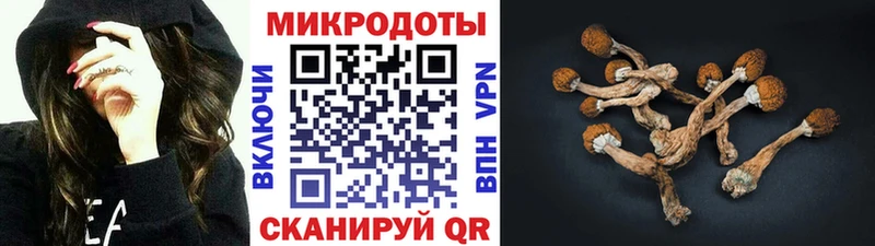 Галлюциногенные грибы Cubensis  Воткинск 