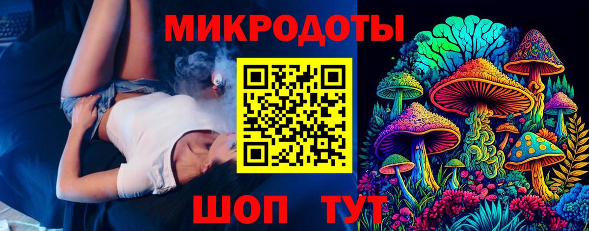 Псилоцибиновые грибы Psilocybine cubensis  Воткинск  Галлюциногенные грибы Psilocybe 