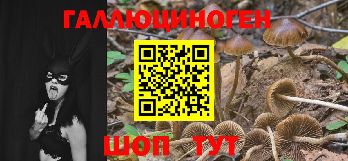 Псилоцибиновые грибы мицелий  Псилоцибиновые грибы Magic Shrooms  Воткинск  Вход с VPN 